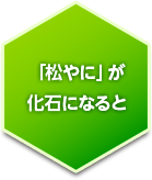 「松やに」が化石になると