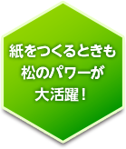 紙をつくるときも松のパワーが大活躍！