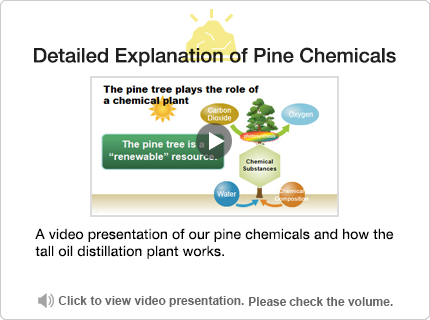 Detailed Explanation of Pine Chemicals