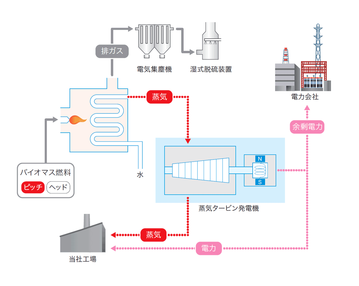 画像 バイオマス発電システムの説明図