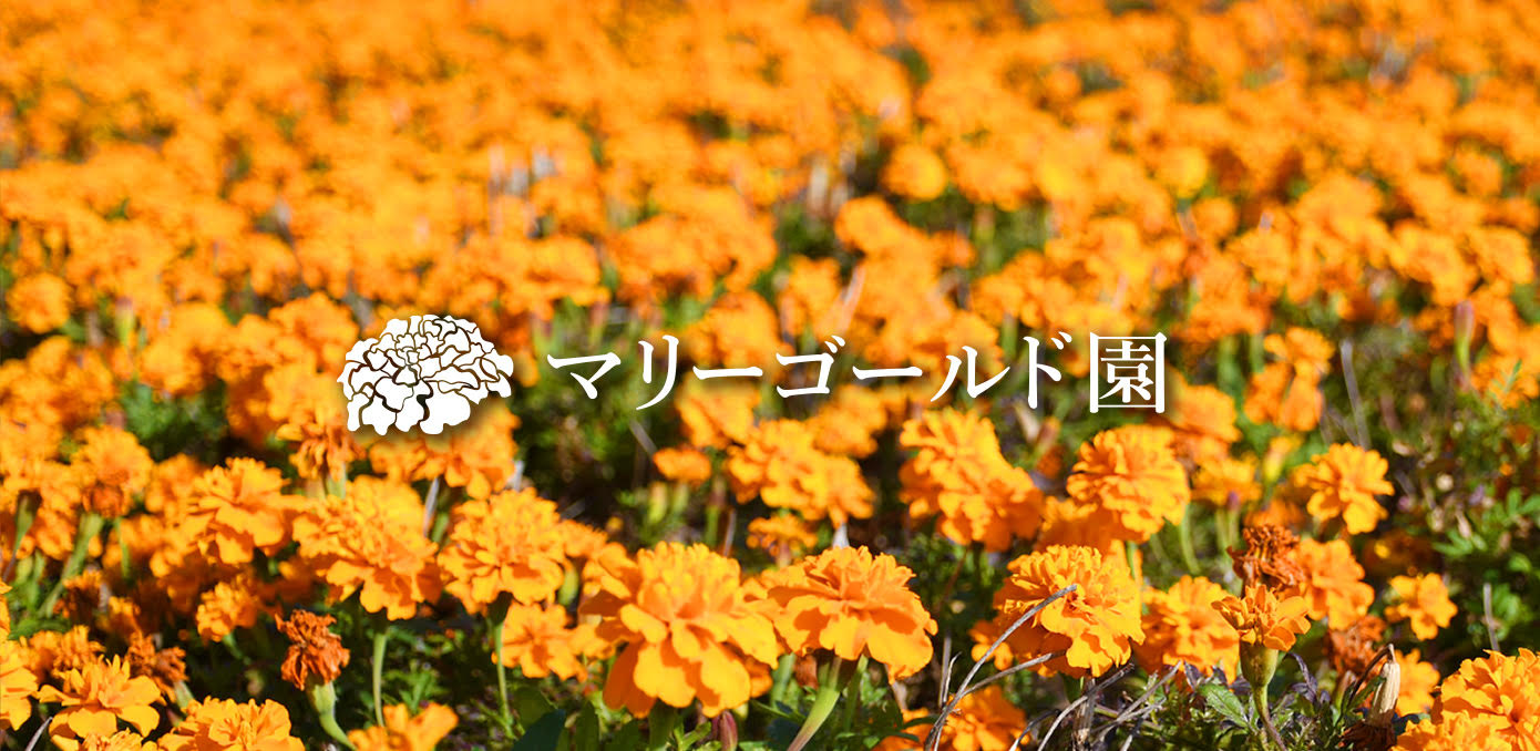 ハリマ化成グループ株式会社