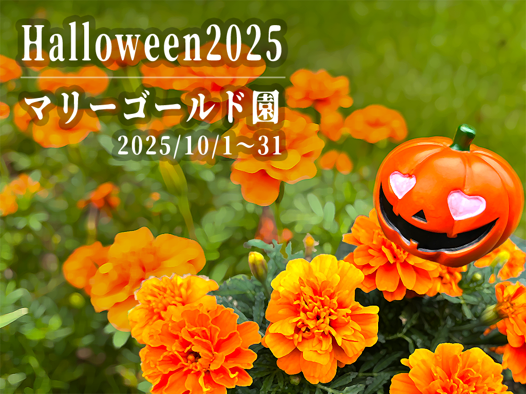 Halloween_image