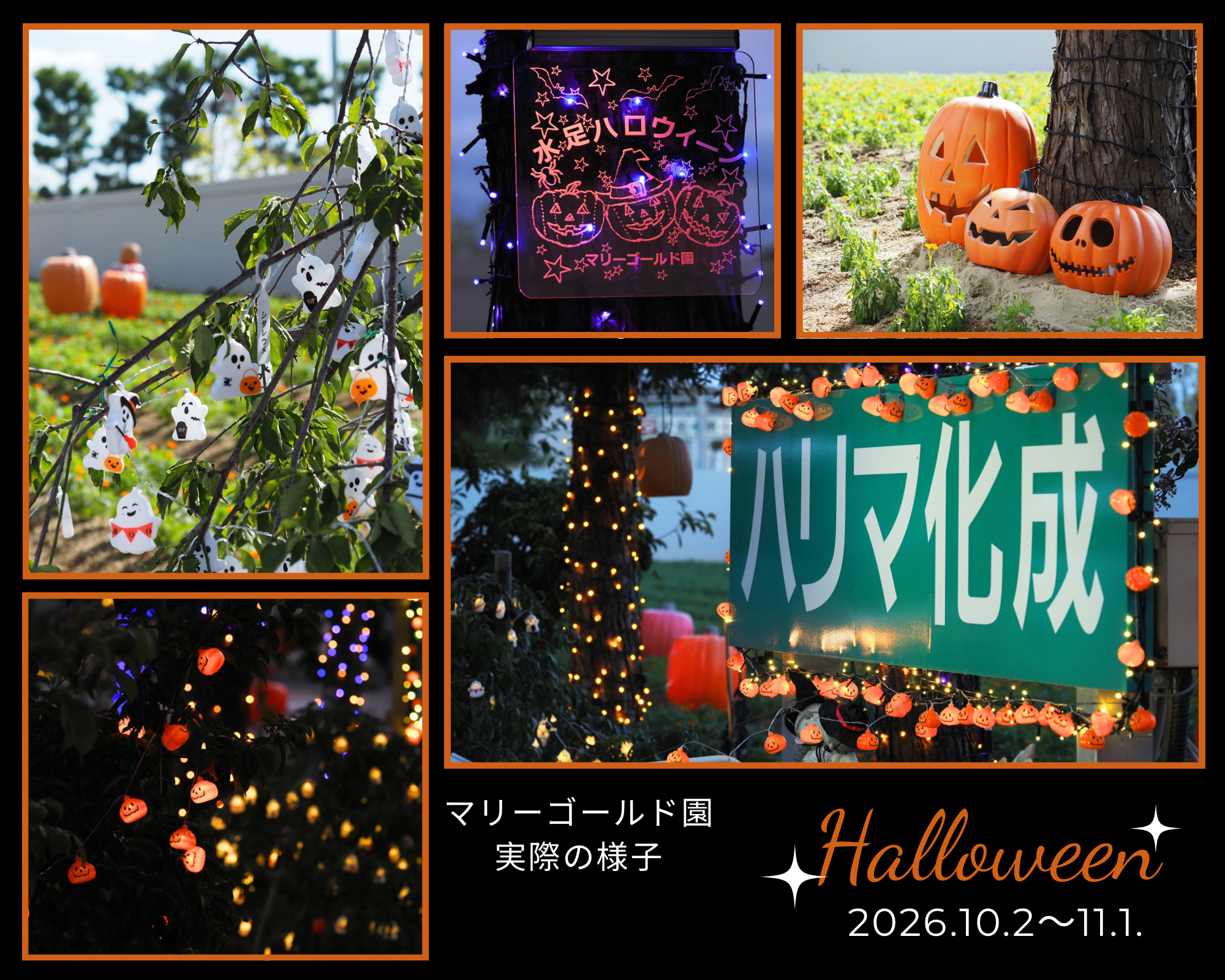 Halloween_image