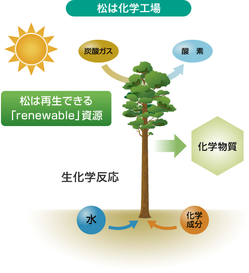 松は化学工場の図