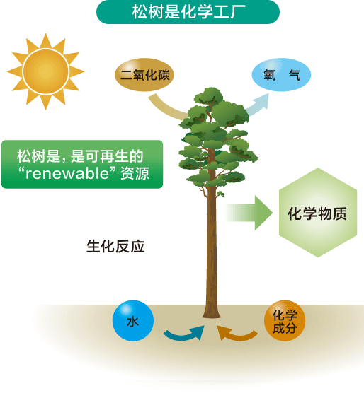 The  pine tree plays the role of a chemical plant