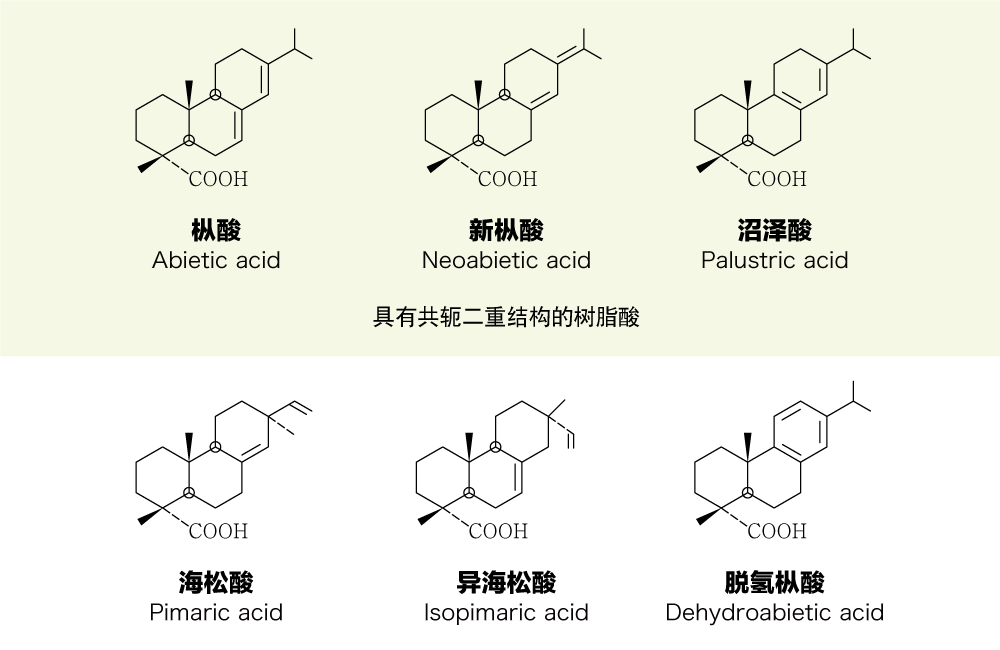 松香中含有的具有代表性的树脂酸
