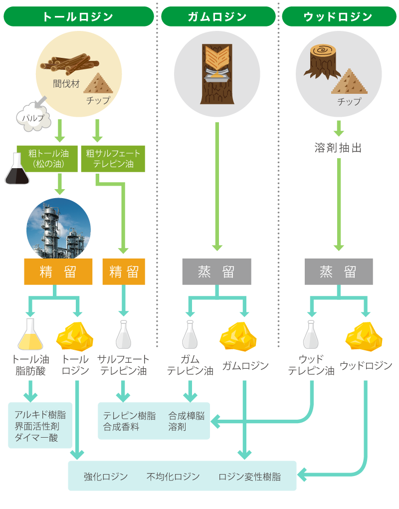 フォロー図 松から化学製品になるまで