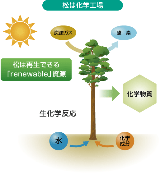 松は化学工場の図