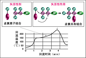 Image 失活性的机理